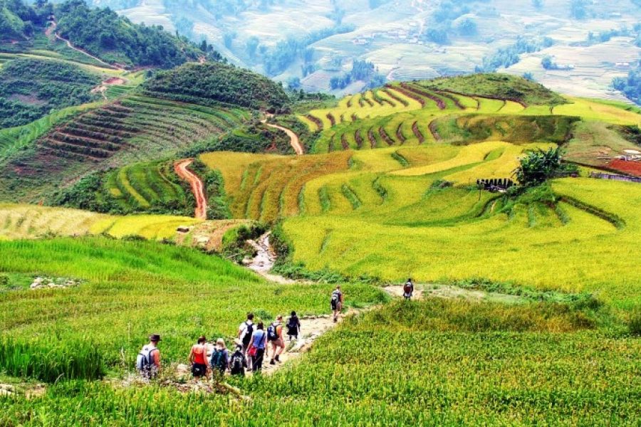 Best Sapa 3 Days 2 Nights Tour | Ta Van Village & Hotel